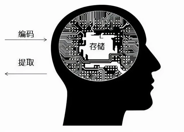 Seagate硬盘：大容量+高速传输，让数据存储轻松无忧  第5张