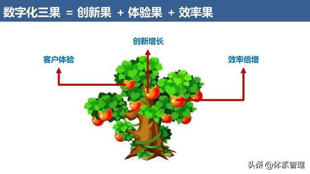 5G网络大比拼：速度、稳定性、覆盖范围谁更胜一筹？  第8张