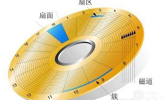 硬盘大作战：蓝盘VS绿盘，性能对决  第2张