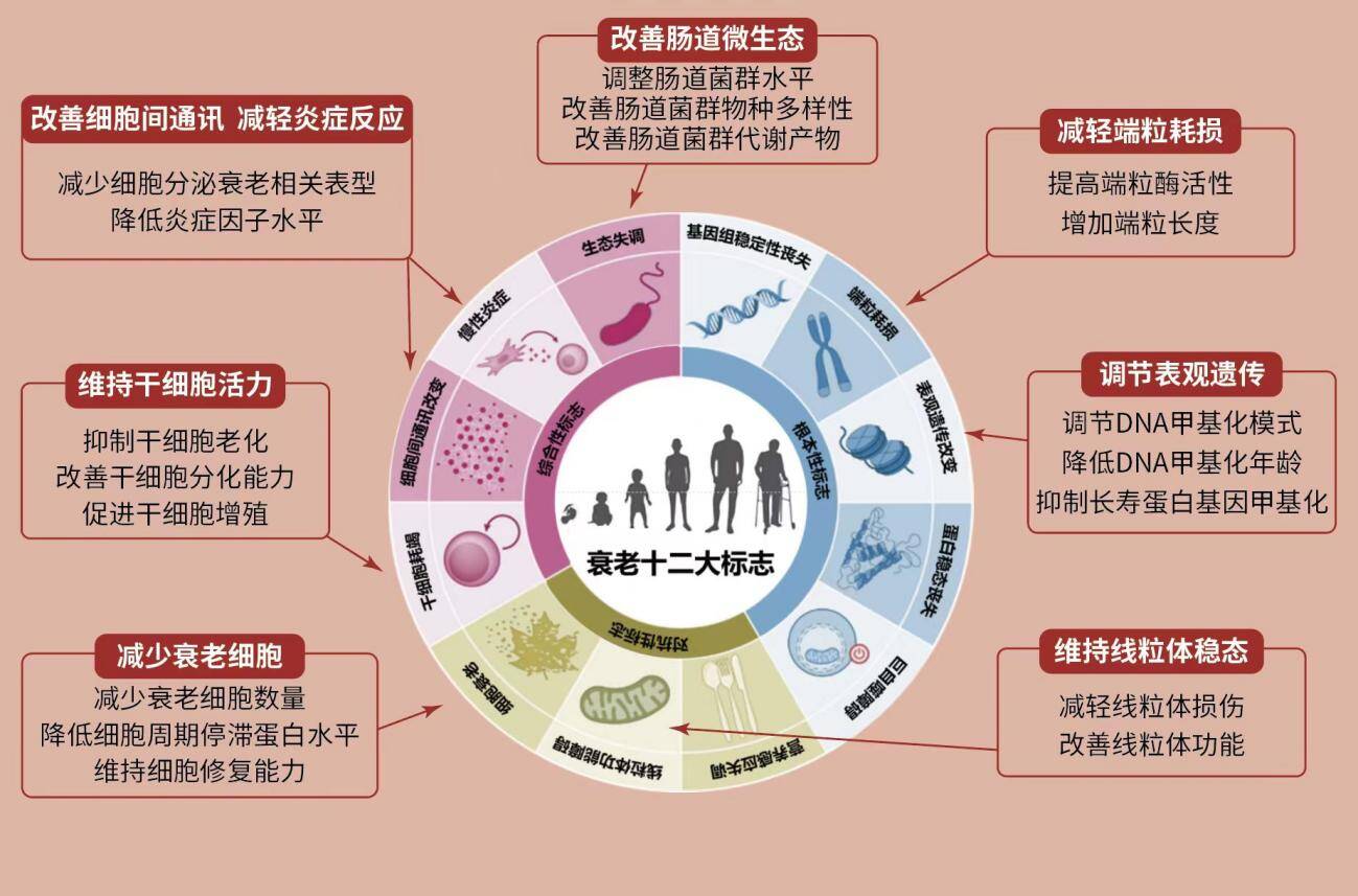 探索DDR5技术的未来：创新、突破与重要性解析  第7张