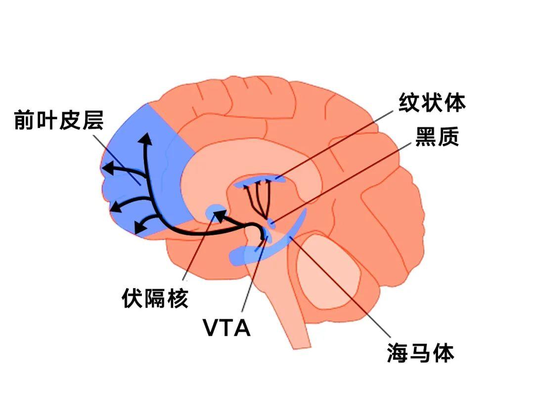 深度解析DDR位翻转问题：原因与解决方案一览  第8张