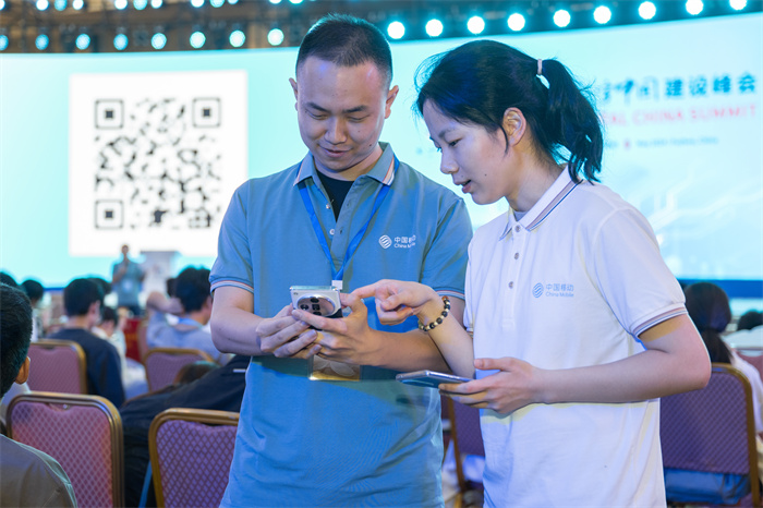 5G 手机在中国市场的销售情况：引发数字化变革与情感共鸣的风潮  第1张