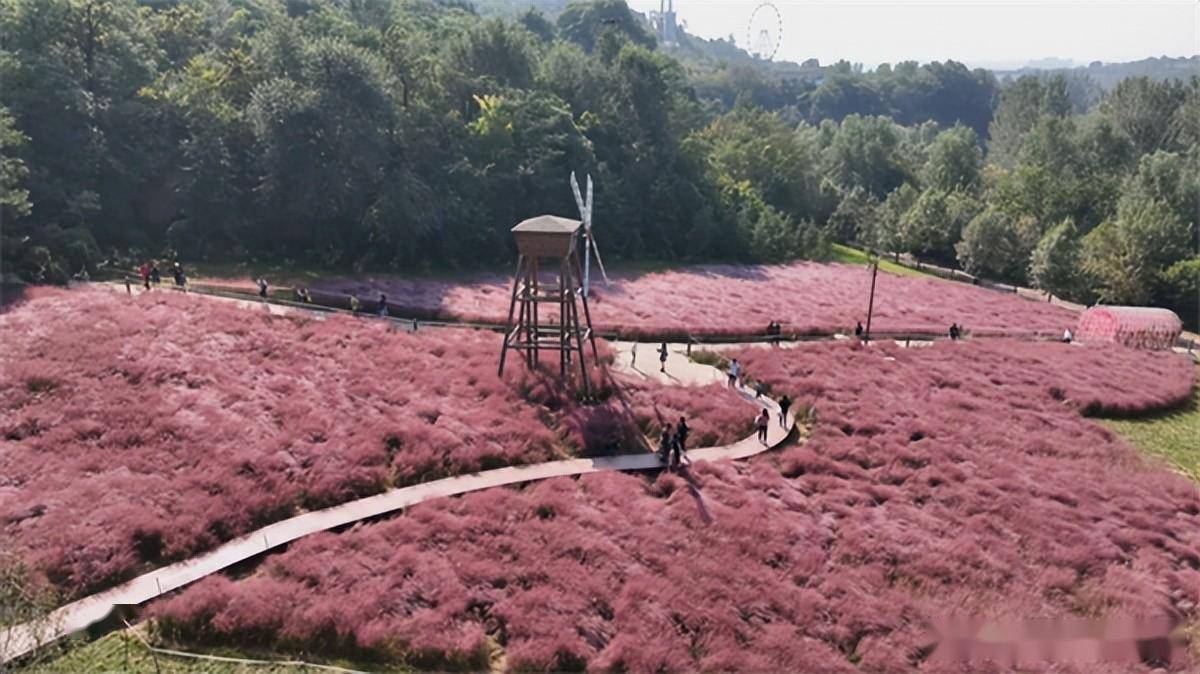 马勺分体音箱：独特设计，提升生活品质，但连接操作需注意  第4张