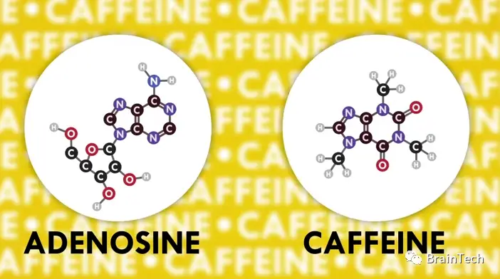 音箱与主机的关系：如同咖啡与糖，你选对连接方式了吗？  第2张