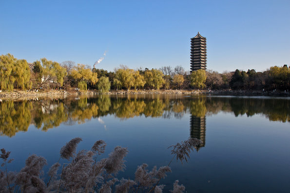 西安电子科技大学研发新型身份证防伪技术，能否彻底杜绝证件造假？  第11张