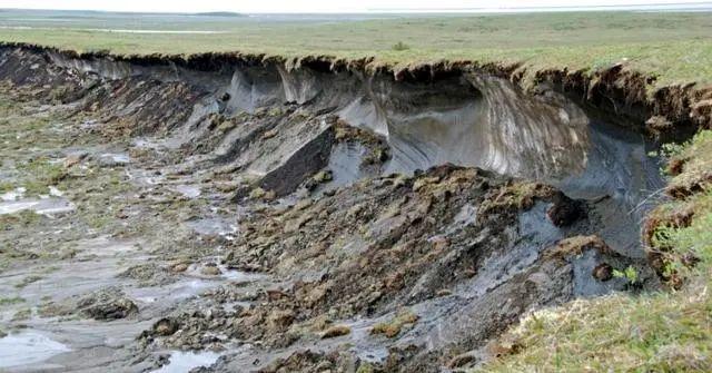 永久冻土：地球上被遗忘的宝库，藏着数千年的秘密与碳汇  第11张