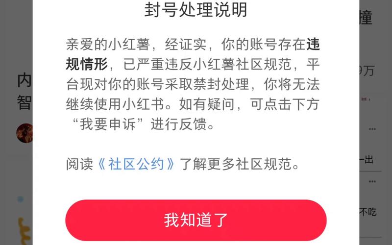 小红书账号突然被封？揭秘背后真相，这些行为可能导致永久封号  第7张