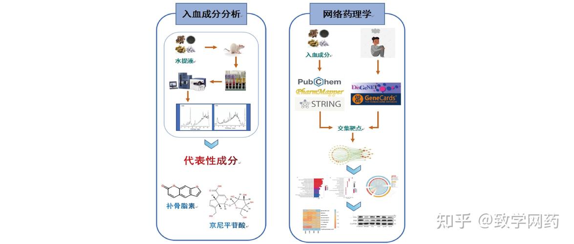 酒店产业链如何从散沙变黄金？揭秘网络效应的化学反应  第17张