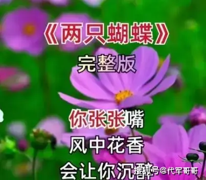 体验先锋点唱机配手机音响：提升音乐生活至新高度  第2张