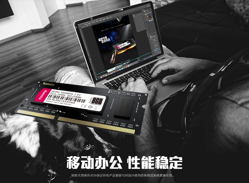 瑞势 ddr3 瑞势DDR3内存条全面解析：性能卓越、稳定运行、持久寿命等优点揭秘  第3张