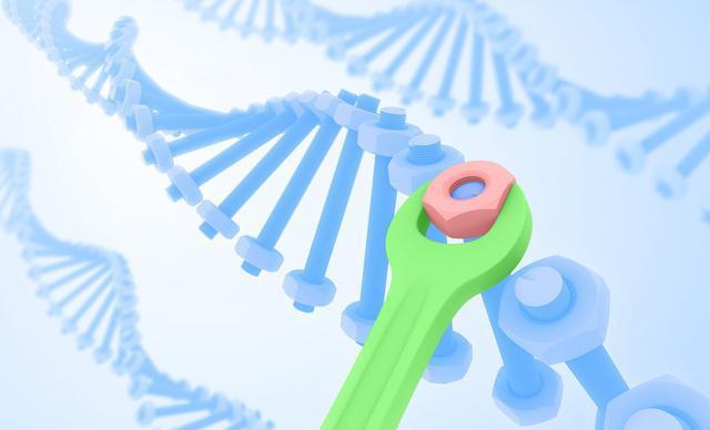 DNA损伤应答通路在肿瘤诊疗中的关键作用及检测方法详解  第1张