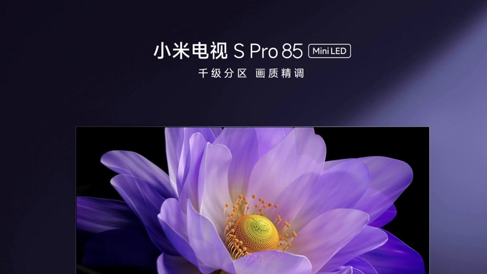 小米音箱 Pro 和电视音箱连接教程及兼容性检查要点  第9张