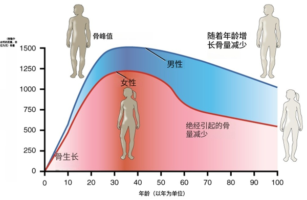 骨质疏松竟成中年女性隐形杀手？快来了解如何预防  第2张