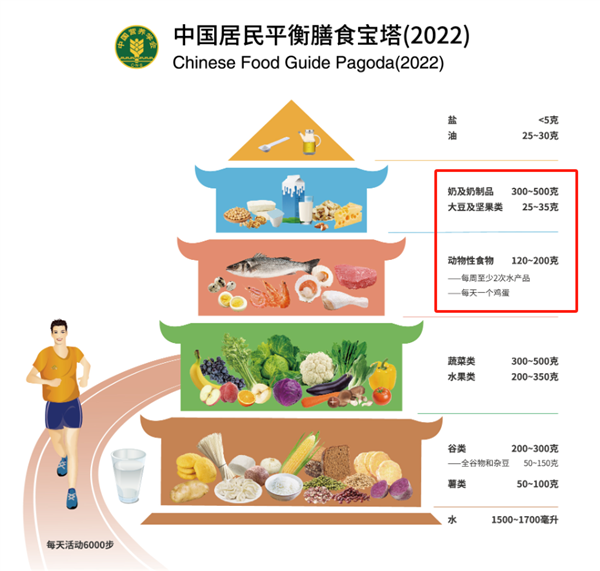 骨质疏松竟成中年女性隐形杀手？快来了解如何预防  第6张