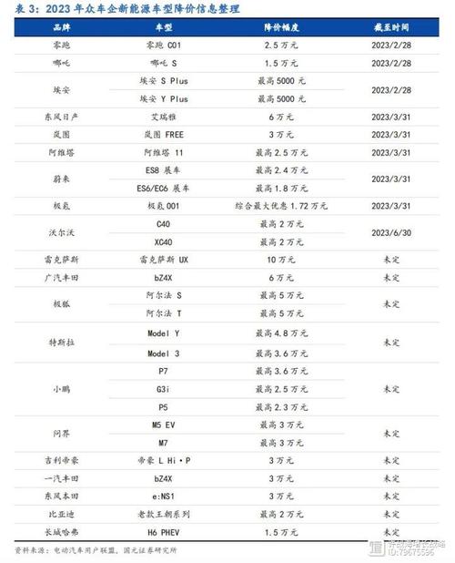 2024年汽车价格战：特斯拉降价引发行业震荡，极氪单车均价30万元能否逆袭？  第12张