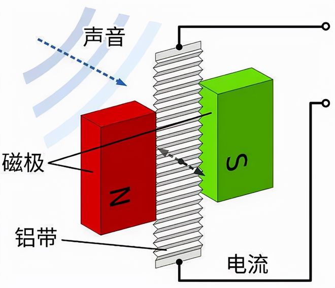 音箱接线大揭秘：银vs铜，传输质量谁更胜一筹？  第7张