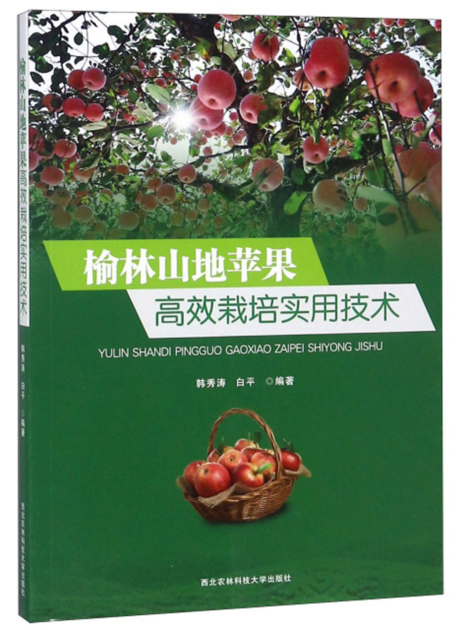 榆林5G网络建设迅速发展，未来前景广阔，对社会生活影响深远  第3张