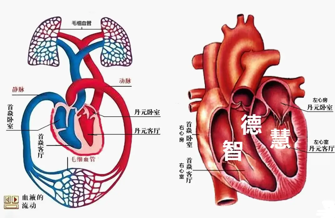 探究Android5.0系统模拟器：深度了解新软件工具与虚拟现实体验  第5张