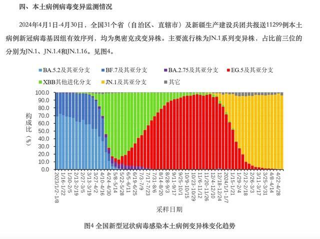 西方5G网络在新冠疫情期间的深远影响及信息传播加速效应  第7张