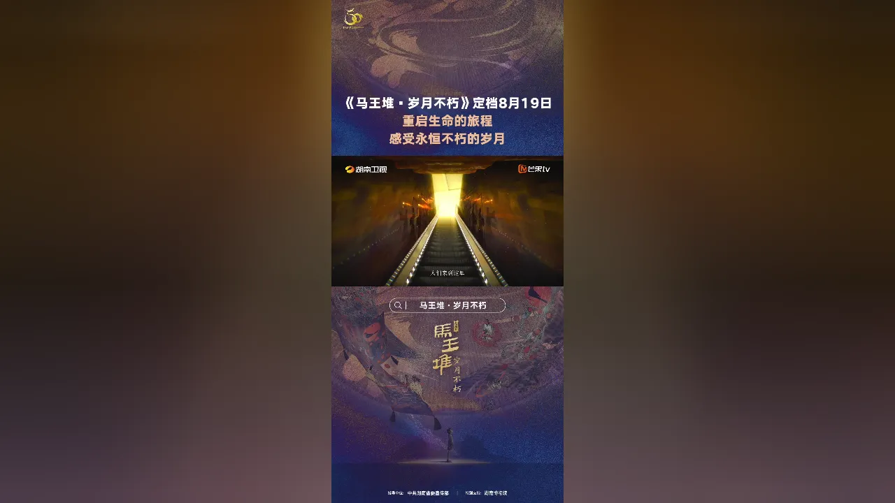 音箱与钢索的奇异相遇：一段不寻常的旅程即将展开  第2张