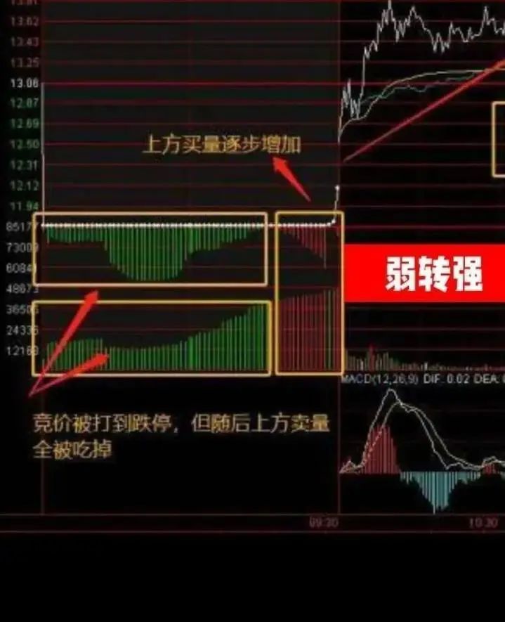 揭秘音箱线路连接的秘密：你真的了解吗？  第5张