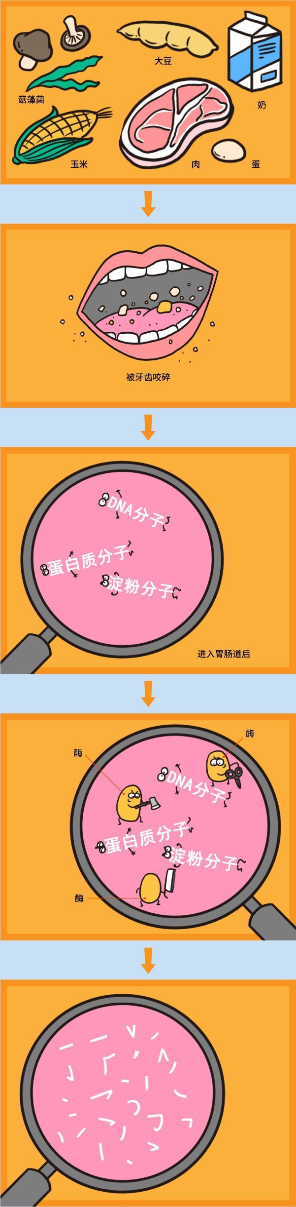 DDR3内存通道大揭秘：XX型号速度飙升，XX型号稳健优秀  第4张