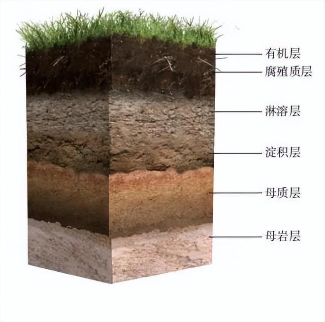 ddr 引脚 电子工程师揭秘DDR引脚：连接不得差错，信号匹配至关重要  第1张