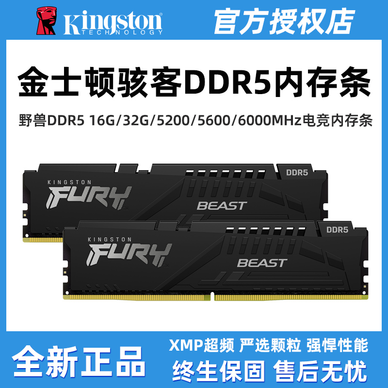 DDR5 内存条市场大揭秘：性价比之王金士顿是否名副其实？  第4张
