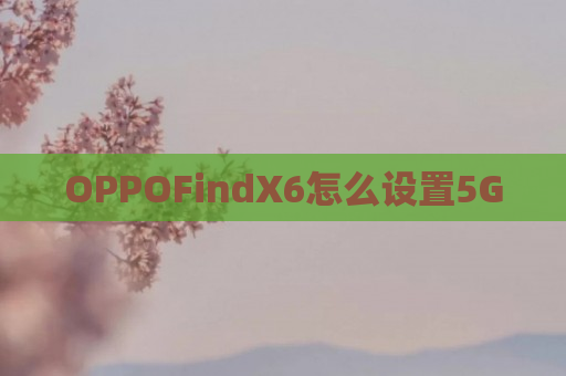 OPPO 手机网络速度激增指南：启用 5G，告别龟速上网  第6张