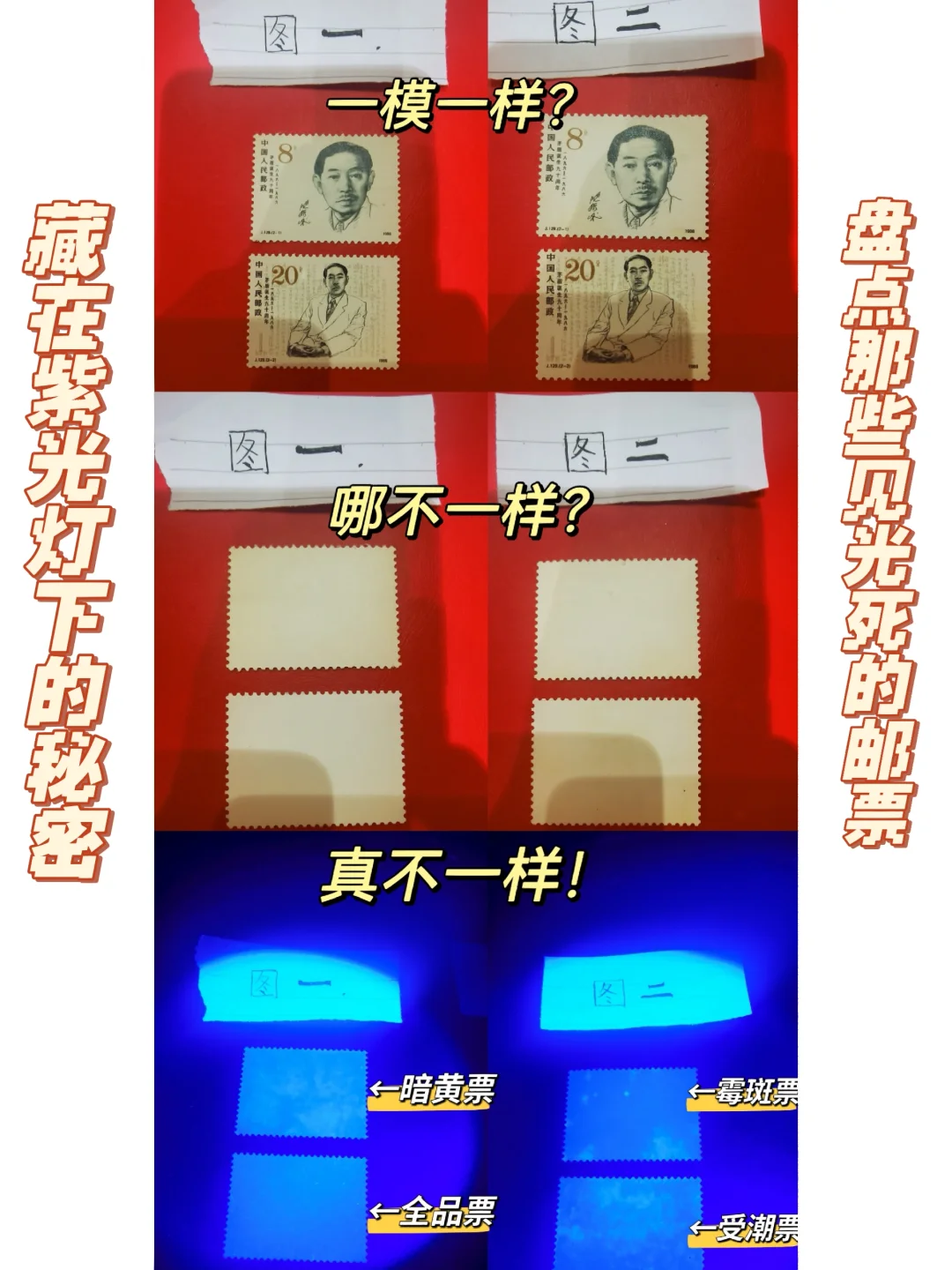 手机ddr2与ddr3 详细分析手机 DDR2 与 DDR3 在差异、性能及适用场景等方面的内容  第4张