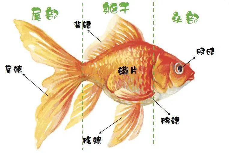 安卓最新寒假防沉迷系统：原理、作用与现实意义  第6张