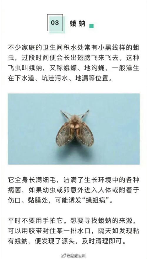 蚂蚁那么小，它们真的能看到微生物吗？答案让你大吃一惊  第6张