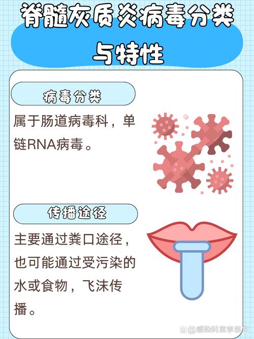 欧洲多国废水中惊现脊髓灰质炎病毒，源头成谜，传播速度惊人  第7张