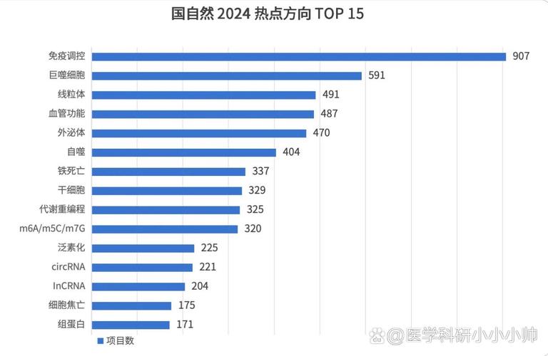 2024年鲸鸿动能生态媒体变现业务大爆发，2025年布局策略抢先看  第8张