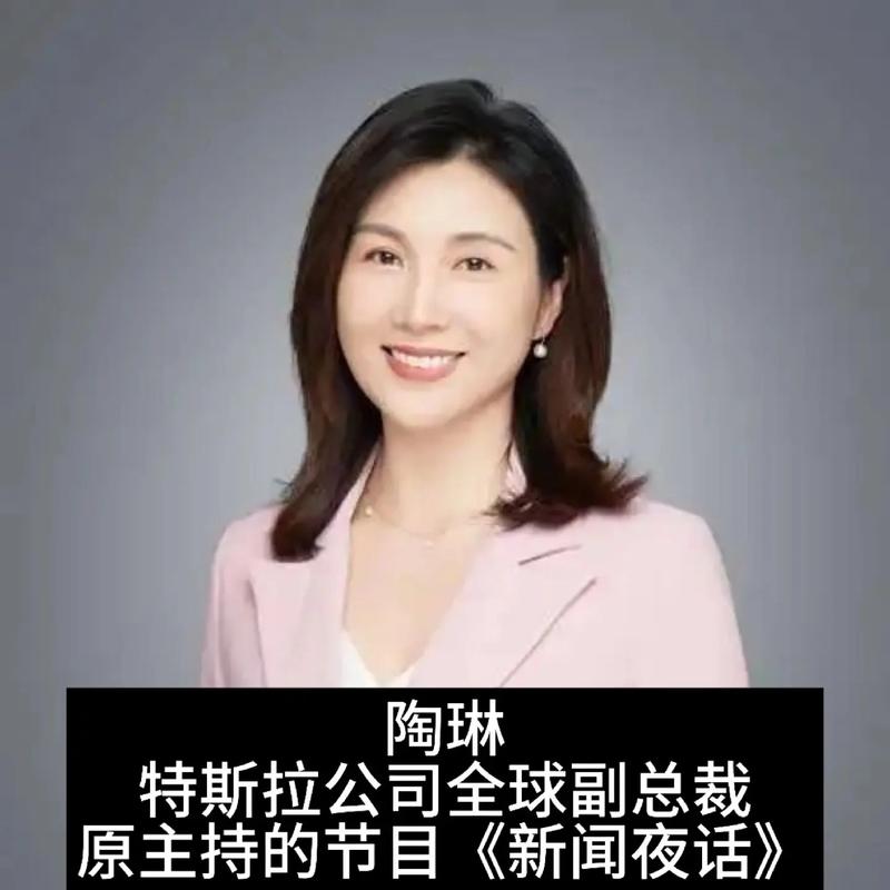 特斯拉副总裁陶琳揭秘：为何只有纯电动车才能实现智能化与自动驾驶？  第11张