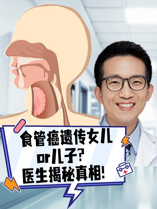 揭秘人体致命缺陷：食道与气管的致命距离，你真的了解吗？  第5张