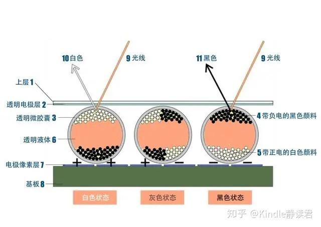 ddr2内存和ddr3 DDR2 vs DDR3：内存大PK，速度与容量谁更胜一筹？  第3张