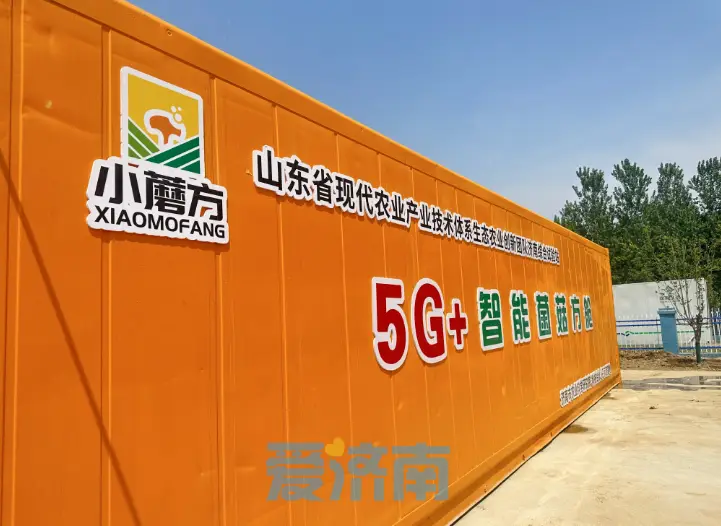 山东省济南5G网络技术领军企业：创新发展与城市支持  第6张