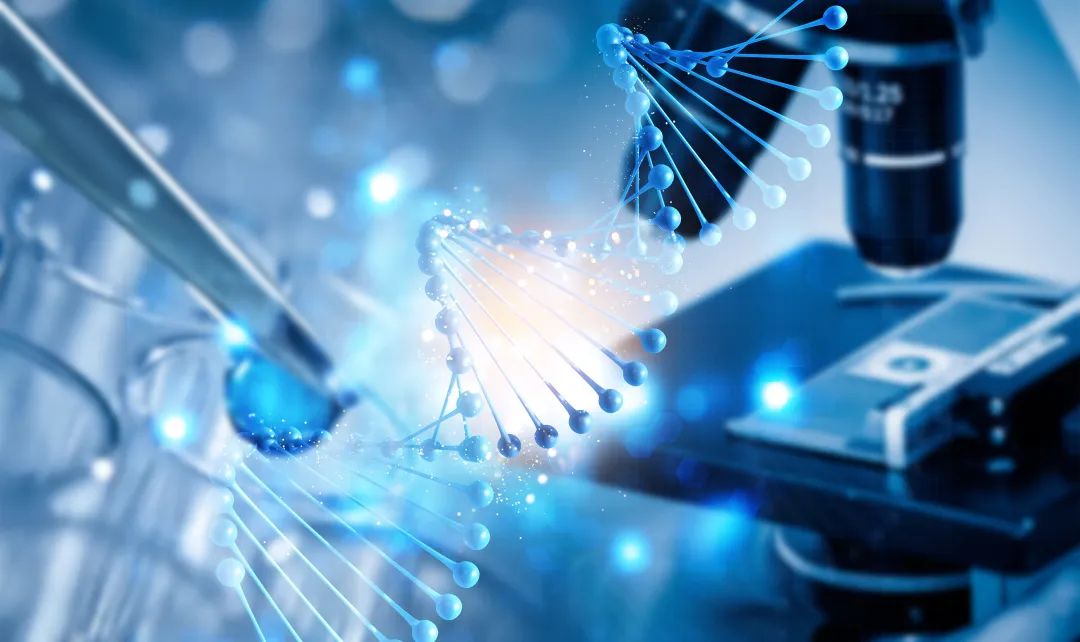 探索DDR1表观遗传：解密生命科学新兴领域中的关键角色及调控机制