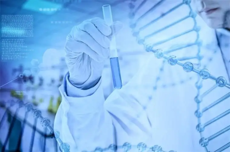 探索DDR1表观遗传：解密生命科学新兴领域中的关键角色及调控机制  第7张