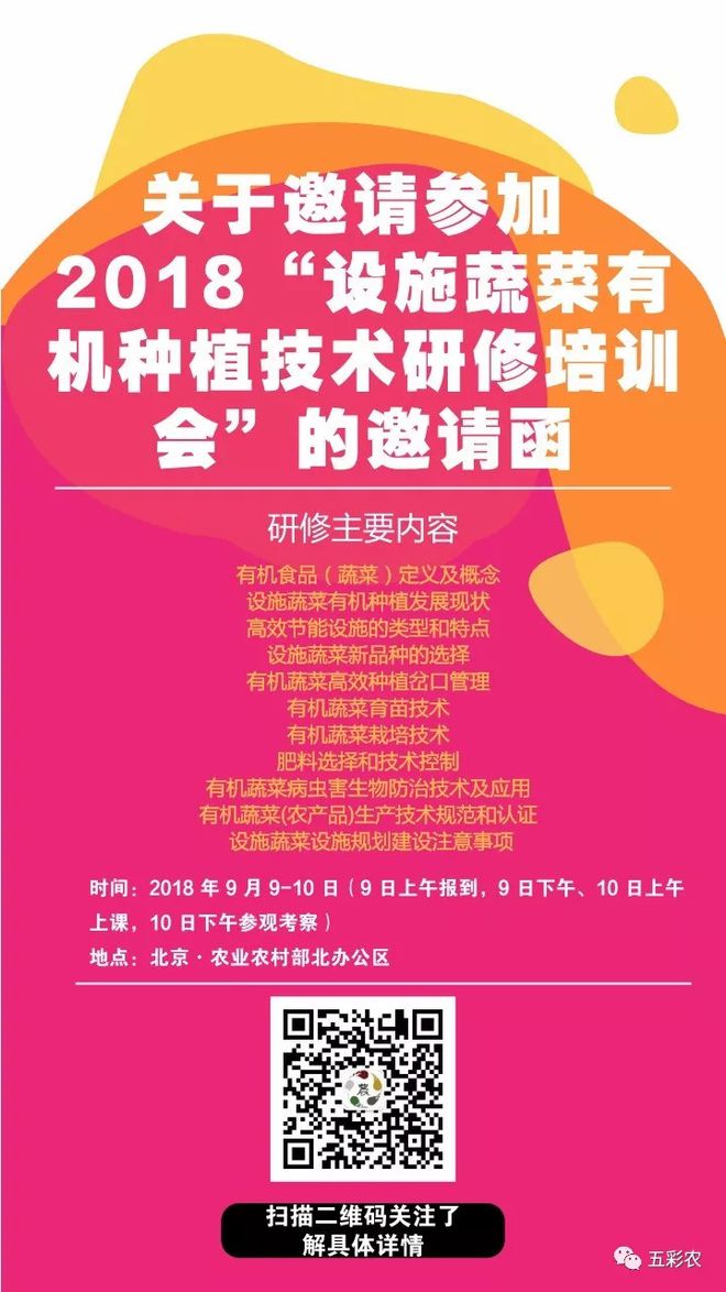 深度探讨DDR3内存容量选择与影响，助力计算机运行效率提升  第1张