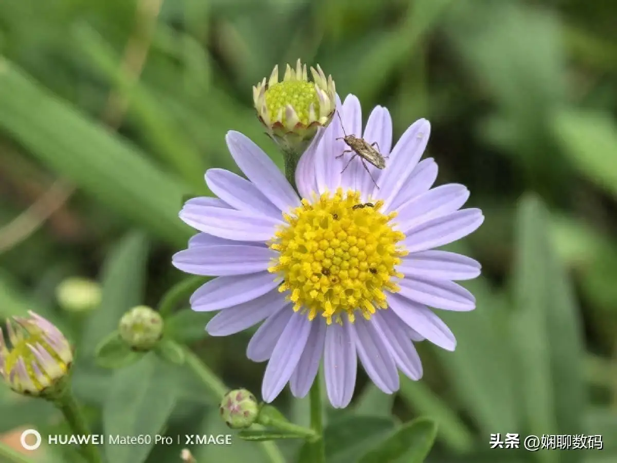 华为 5G 高端旗舰手机星耀即将发布，配置麒麟 9000 芯片，你期待吗？