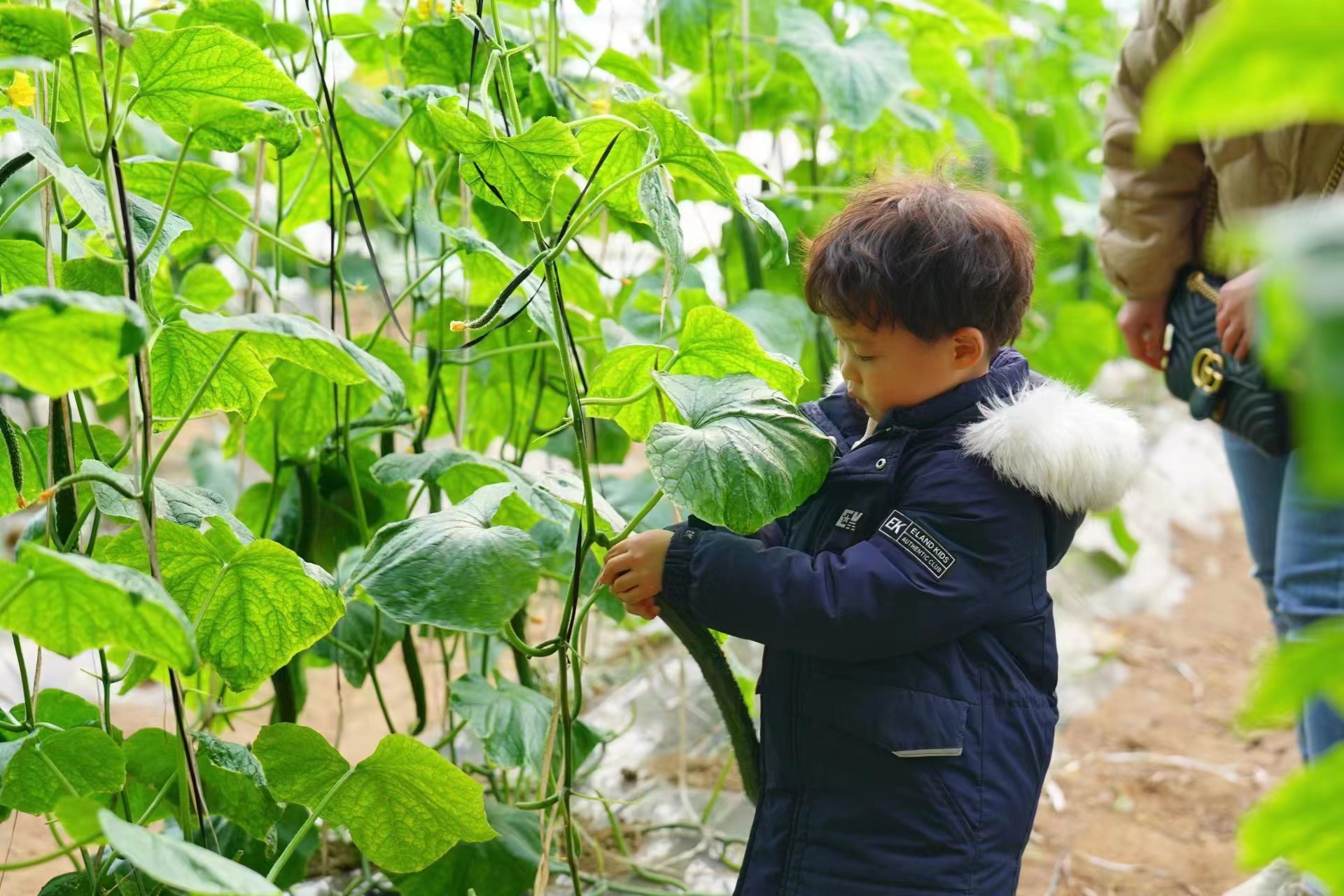 大象牌安卓系统导航：解决导航困扰，节省出行时间，功能强大让你尖叫  第3张