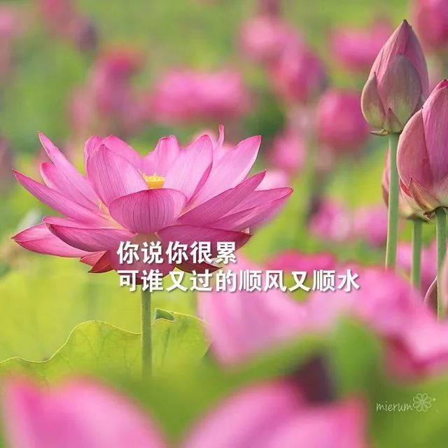 音箱线连接方向的奥秘：对音质的影响不容小觑  第7张