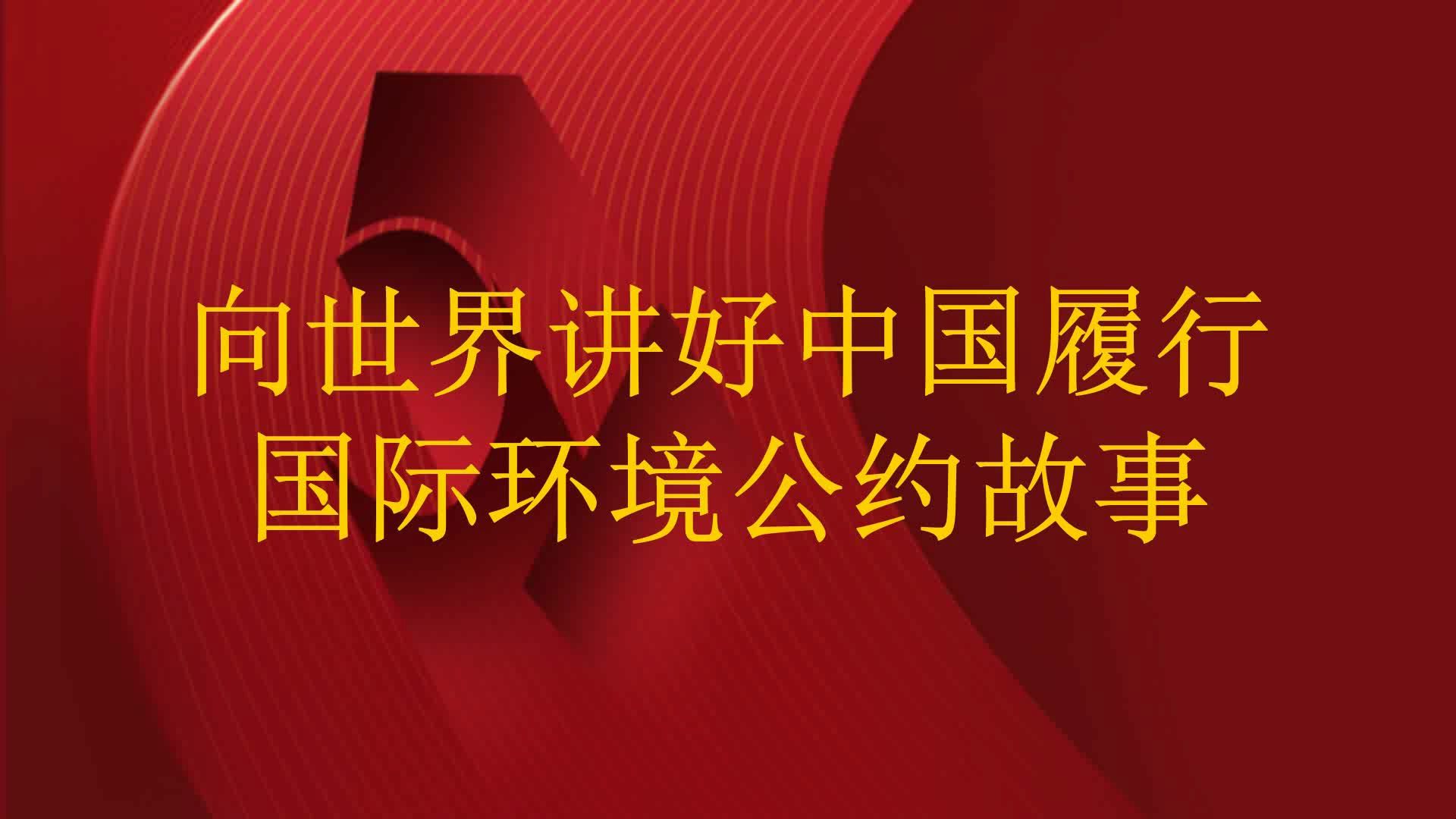 安卓系统中译英功能：助力中国用户融入国际环境的利器  第5张