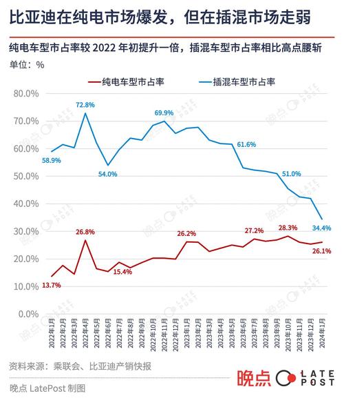 2024年新能源车市新趋势：年轻人专属智能车销量狂飙，谁是最大赢家？