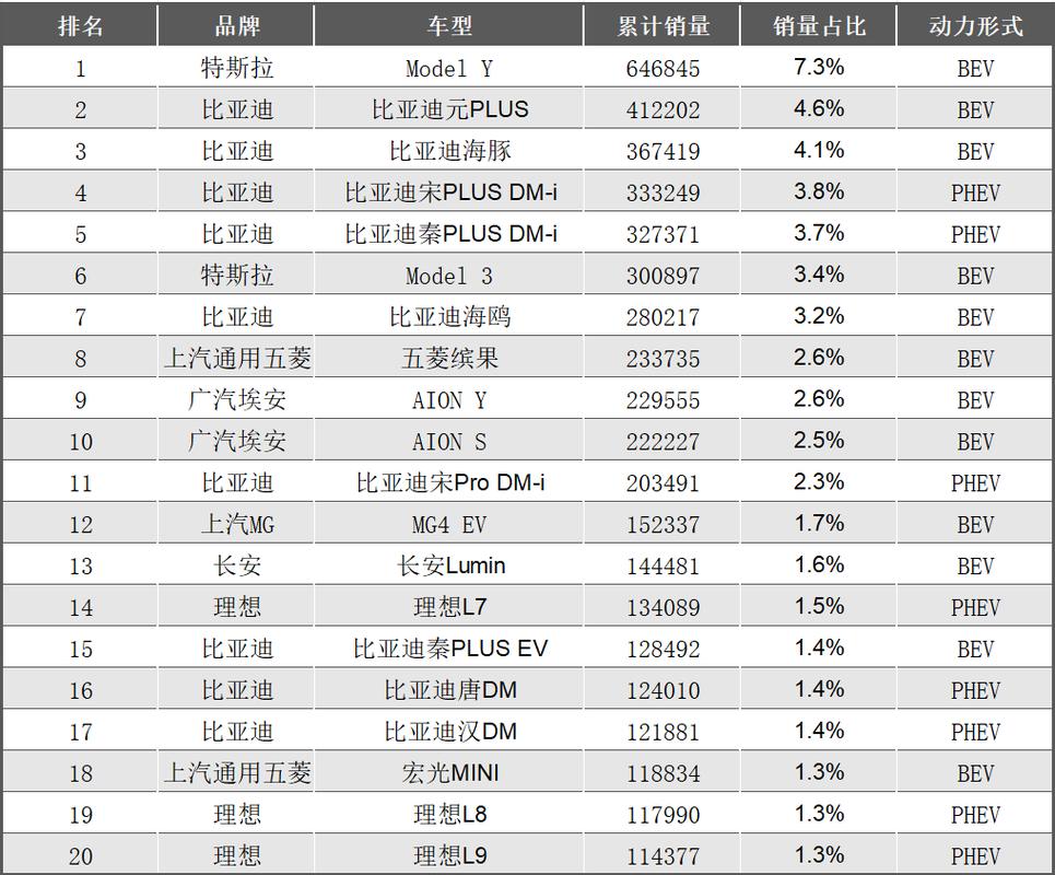 2024年新能源车市新趋势：年轻人专属智能车销量狂飙，谁是最大赢家？  第4张