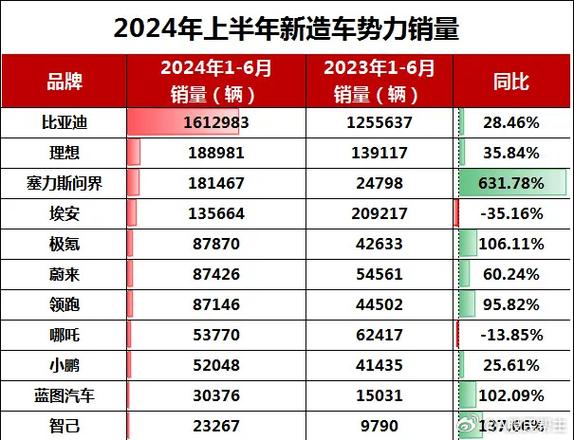 2024年新能源车市新趋势：年轻人专属智能车销量狂飙，谁是最大赢家？  第6张