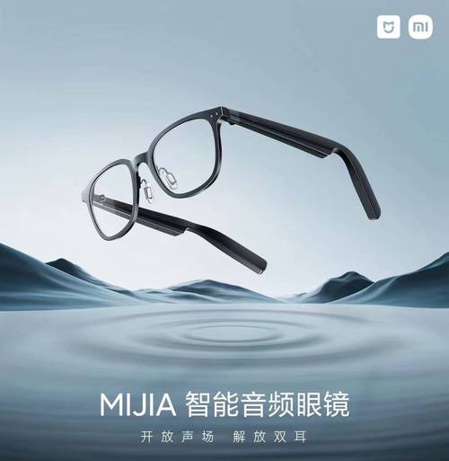 2025年Meta Ray-Ban智能眼镜将集成显示屏，AI眼镜市场震荡回升  第6张