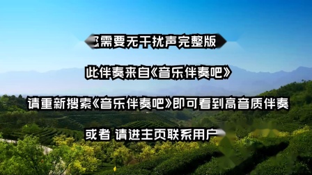 穿越时空，身临其境！听歌手机5G震撼音质体验  第2张